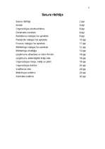 Biznesa plāns 'Projekts "SuperCafe"', 2.