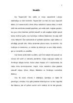 Biznesa plāns 'Projekts "SuperCafe"', 3.