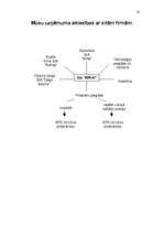 Biznesa plāns 'Projekts "SuperCafe"', 16.