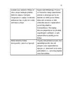 Biznesa plāns 'Projekts "SuperCafe"', 25.