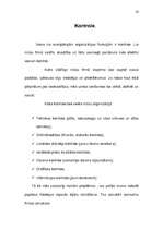 Biznesa plāns 'Projekts "SuperCafe"', 33.