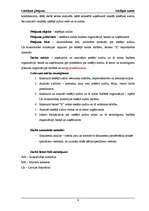 Referāts 'Iekšējais audits budžeta organizācijā, kredītiestādē un uzņēmumos', 4.