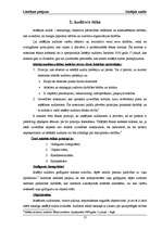 Referāts 'Iekšējais audits budžeta organizācijā, kredītiestādē un uzņēmumos', 12.