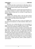 Referāts 'Iekšējais audits budžeta organizācijā, kredītiestādē un uzņēmumos', 14.