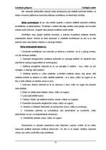 Referāts 'Iekšējais audits budžeta organizācijā, kredītiestādē un uzņēmumos', 22.