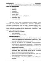 Referāts 'Iekšējais audits budžeta organizācijā, kredītiestādē un uzņēmumos', 24.