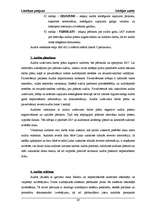 Referāts 'Iekšējais audits budžeta organizācijā, kredītiestādē un uzņēmumos', 29.