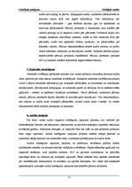 Referāts 'Iekšējais audits budžeta organizācijā, kredītiestādē un uzņēmumos', 31.