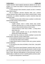 Referāts 'Iekšējais audits budžeta organizācijā, kredītiestādē un uzņēmumos', 42.