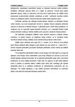 Referāts 'Iekšējais audits budžeta organizācijā, kredītiestādē un uzņēmumos', 46.