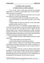 Referāts 'Iekšējais audits budžeta organizācijā, kredītiestādē un uzņēmumos', 47.