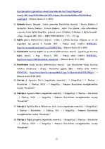 Diplomdarbs 'Skaistkalnes baznīca', 12.