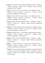 Diplomdarbs 'Skaistkalnes baznīca', 13.