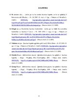 Diplomdarbs 'Skaistkalnes baznīca', 15.