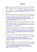 Diplomdarbs 'Skaistkalnes baznīca', 16.