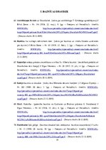 Diplomdarbs 'Skaistkalnes baznīca', 19.