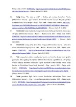 Diplomdarbs 'Skaistkalnes baznīca', 27.