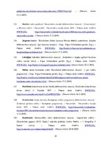 Diplomdarbs 'Skaistkalnes baznīca', 29.