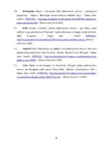 Diplomdarbs 'Skaistkalnes baznīca', 30.