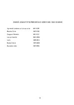 Diplomdarbs 'Skaistkalnes baznīca', 34.