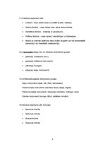 Konspekts 'Mūzikas teorija pamatskolai', 4.