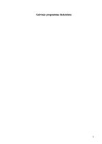 Referāts 'Informatīva sistēma dzelzceļa stacijai', 7.