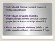 Prezentācija 'Mācību organizācijas formas', 3.