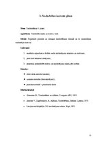 Prakses atskaite 'Tamborējuma raksti un motīvi', 12.