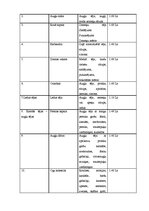 Biznesa plāns 'SIA "Tējas nams"', 7.