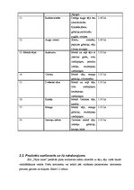 Biznesa plāns 'SIA "Tējas nams"', 8.