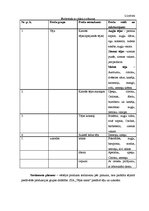 Biznesa plāns 'SIA "Tējas nams"', 9.