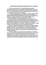 Eseja 'Latvijas dalība starptautiskajās organizācijās - ieguvumi vai zaudējumi', 1.