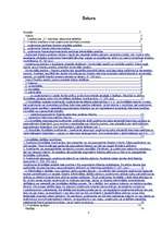 Referāts 'SIA "X" finansiālās darbības analīze', 2.