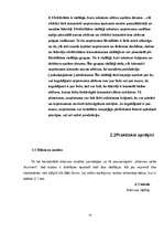 Referāts 'SIA "X" finansiālās darbības analīze', 13.