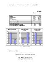 Referāts 'SIA "X" finansiālās darbības analīze', 23.