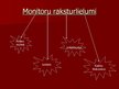 Prezentācija 'Monitori', 3.