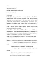 Konspekts 'Integrētā stunda ar vizuālās mākslas dominanti', 1.