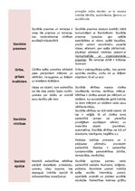 Konspekts 'Jēdzieni sociālajā pedagoģijā', 3.