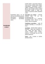 Konspekts 'Jēdzieni sociālajā pedagoģijā', 5.