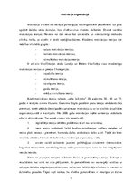 Referāts 'Motivācija organizācijā', 1.