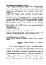 Referāts 'Mārketings', 4.