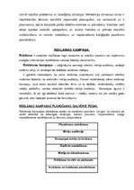 Referāts 'Mārketings', 5.