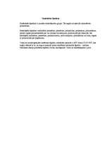 Konspekts 'Apdrukāšana. Teorija un protokols', 3.