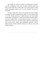 Konspekts 'Konkurences veidi tirgū', 4.