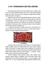 Referāts 'Būt vai nebūt Y hromosomai', 9.