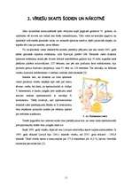 Referāts 'Būt vai nebūt Y hromosomai', 11.