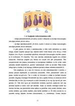 Referāts 'Būt vai nebūt Y hromosomai', 17.