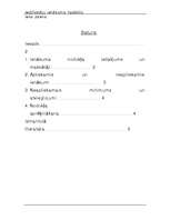 Referāts 'Iedzīvotāju ienākuma nodoklis', 1.