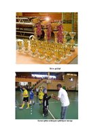 Referāts 'Olimpiskā izglītība; nāc trenēties florbolā', 6.