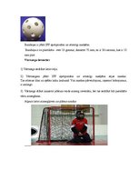 Referāts 'Olimpiskā izglītība; nāc trenēties florbolā', 10.